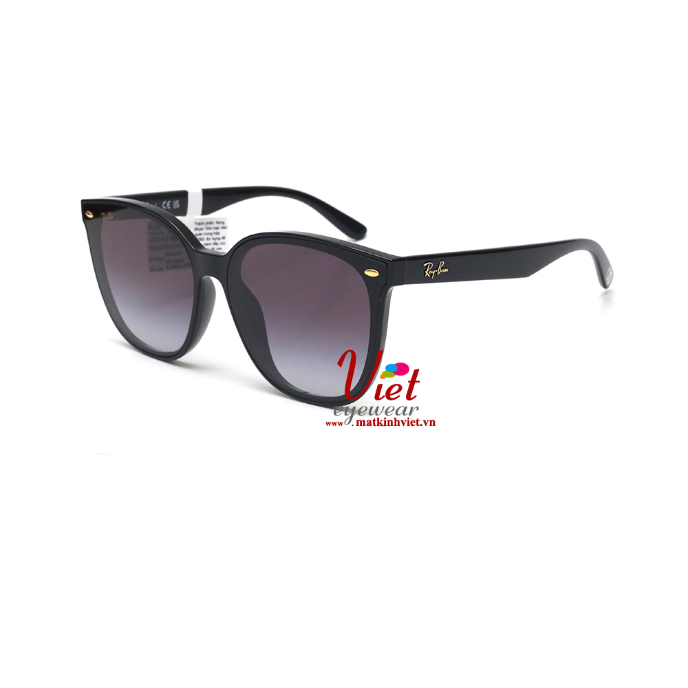 Kính mát RayBan RB4423D 6807/8G